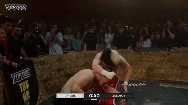 ДУМАЕТЕ КТО АНДЕРДОГ | TOP DOG 8.                   #бои #подписка #лайк #отдуши #топдог #кто #анде