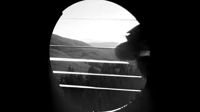 THE HARDKISS   Журавлi official