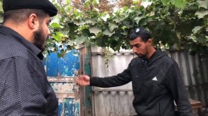 Митя и Халя "проблемы"