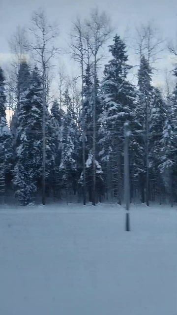 Русская зима 2024 г. смотреть онлайн