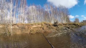 Я ДУМАЛ ЭТО КОРЯГА.А ЭТО РЫБА! Рыбалка на реке Кеть