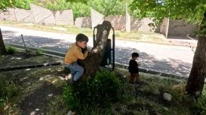 12.05.2025 Влияет ли поход Таябе на природу на ее настроение и выздоровление после болезни?