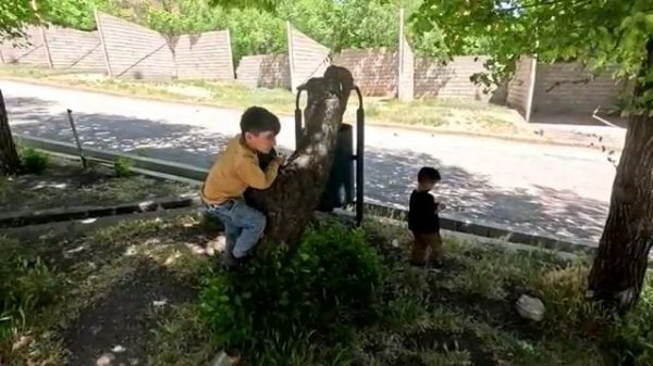 12.05.2025 Влияет ли поход Таябе на природу на ее настроение и выздоровление после болезни?