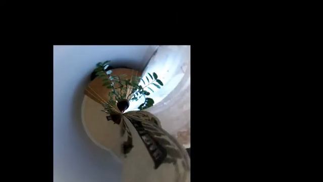 Никита я прикольная видос буду снимать смотреть онлайн