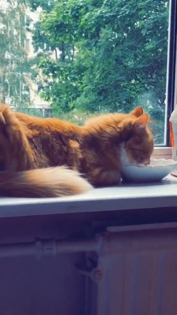 Вот она, зона комфорта