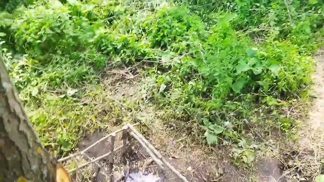 обзор на дом школьника смотреть онлайн