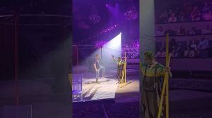 цирк Бурлеск НСК 2023 #врек #circus #circusworld #викишоу #двигаться