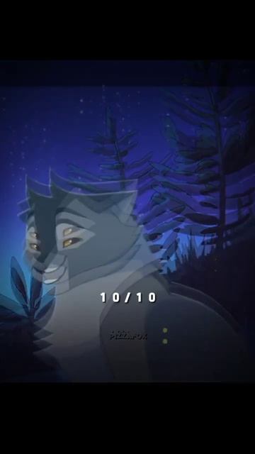 Моё первое мнение о Коте-воителе и нынешнее | Коты-воит смотреть онлайн