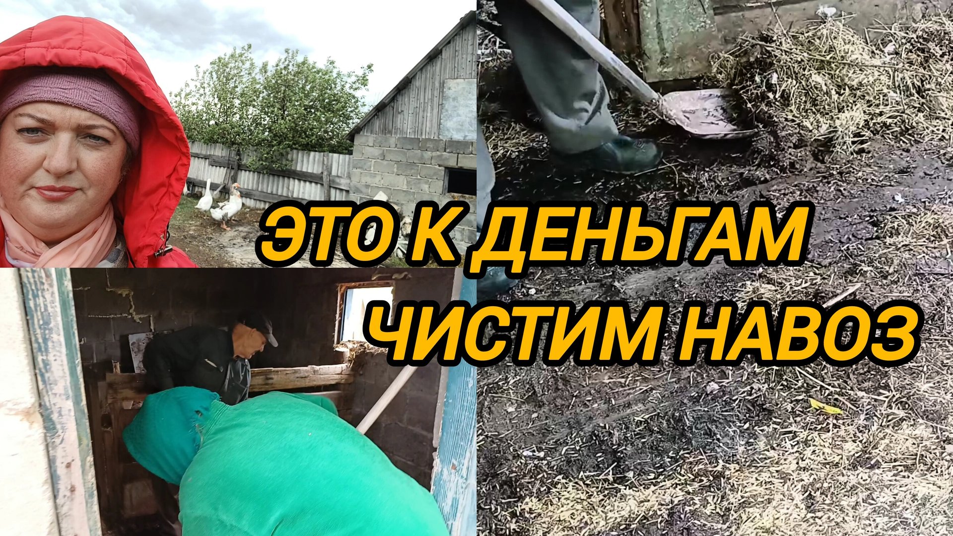 ЭТО К ДЕНЬГАМ. ЧИСТИМ НАВОЗ. НА ХОЗЯЙСТВЕ смотреть онлайн