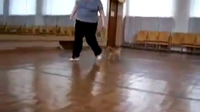 Изображение 1720 смотреть онлайн