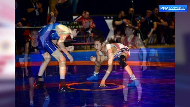 Спортсмен из Калмыкии занял второе место на первенстве Росси по вольной борьбе смотреть онлайн