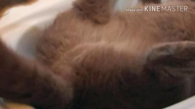 Смешные картинки 😆😆😆😆😆 смотреть онлайн