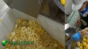 Профессиональный слайсер для овощей и фруктов Vega Belt Cutter H20