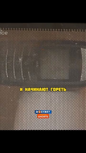 Телефон в Микроволновке #мифы #разрушители #головолом? смотреть онлайн