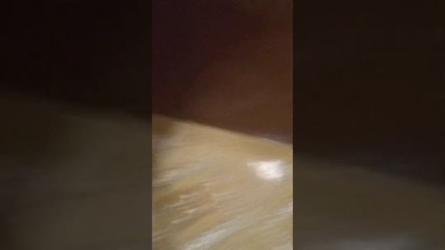 говорящий кактус смотреть онлайн