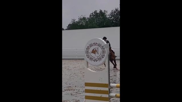 влог||конкур|соревнования по конному спорту смотреть онлайн