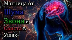 Матрица от шума, звона и свиста в ушах . 20 звуков против шума, звона и свиста в голове и ушах