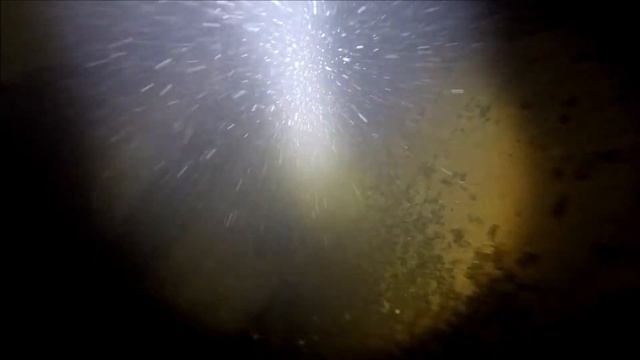 Подводная охота. В поисках крупного сома 2019 смотреть онлайн