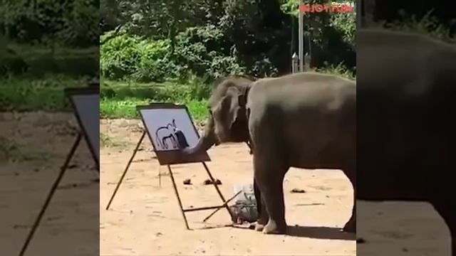 Слон. Художник😄 смотреть онлайн