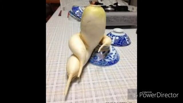 Приколы🌞 Смешные овощи🍒🍑🍢🍜🍔🍟 смотреть онлайн