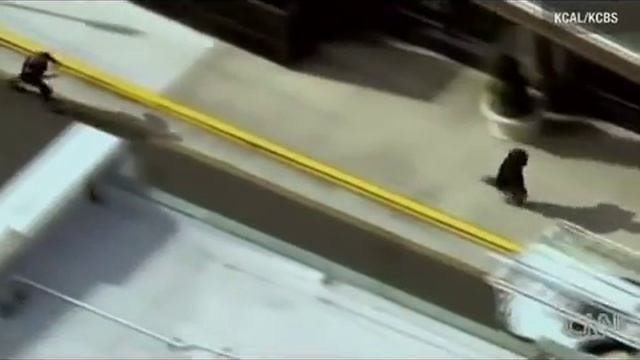 БЕГУ ДЕЛАТЬ ВИДЕО ДЛЯ ВАС смотреть онлайн