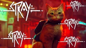 Как Stray передает атмосферу и эмоции?