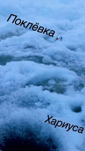 ПОКЛЁВКА/ХАРИУСА/НИМФА/РАБОТАЕТ/РЫБАЛКА/ЯНВАРЬ смотреть онлайн