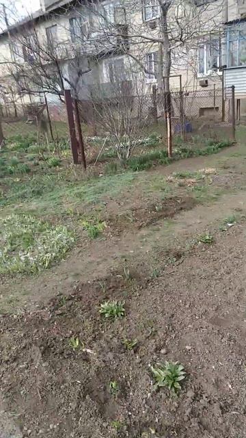 Обживаемся, обрастаемся смотреть онлайн