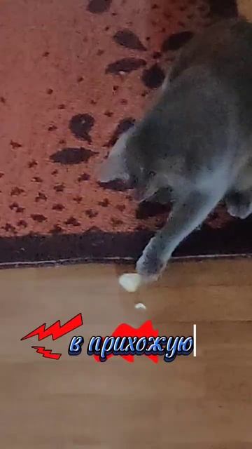 Пойду есть рыбу 😺 смотреть онлайн