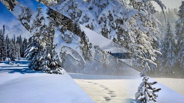 Зима в лесу 2 #природа смотреть онлайн
