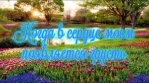 Когда в сердце моем появляется грусть