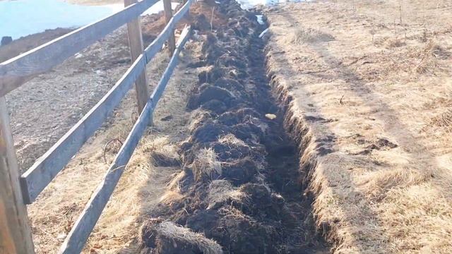 ПЕРЕЦ.ПОМИДОРЫ РАСТУТ КАК НА ДРОЖЖАХ. ОБОИ В ГОСТИНУЮ.? смотреть онлайн