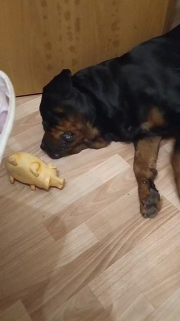 Есть ли жизнь без интернета? смотреть онлайн