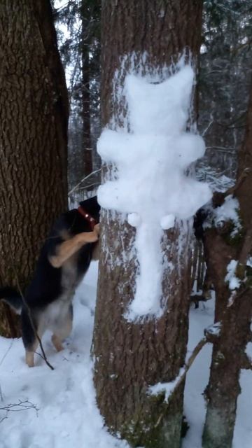 дикий кот смотреть онлайн