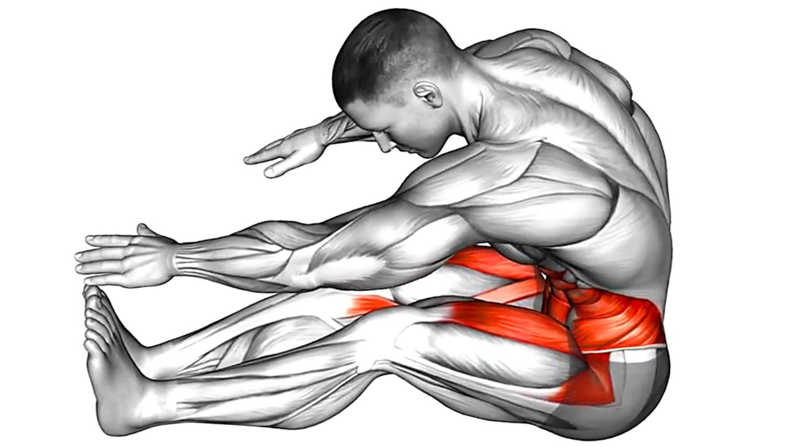 Ежедневные растяжки — Растяжки сидя смотреть онлайн
