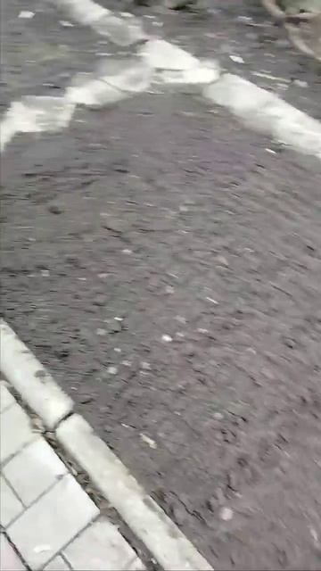 Сезон открыт. Огород 16.03.2025. посадили буряк и морковку. смотреть онлайн