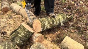 пилим двумя пилами с одинаковыми параметрами шин и об?