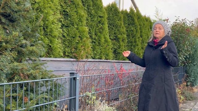 Высокая клумба своими руками ☘️Живая изгородь под де смотреть онлайн