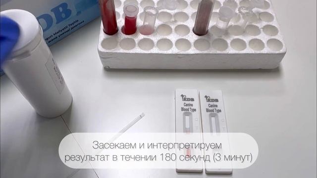 Экспресс-тест на определение группы крови у собак - Canin смотреть онлайн
