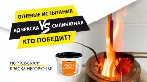 Испытание водно-дисперсионной и силикатной красок