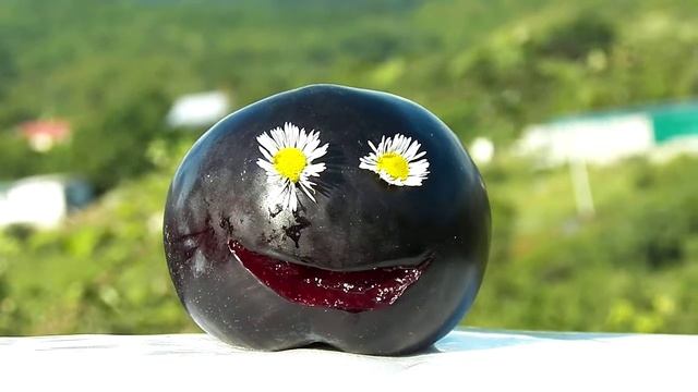 ГАЛЯ С ДНЁМ РОЖДЕНИЯ ОТ СЛИВЫ смотреть онлайн
