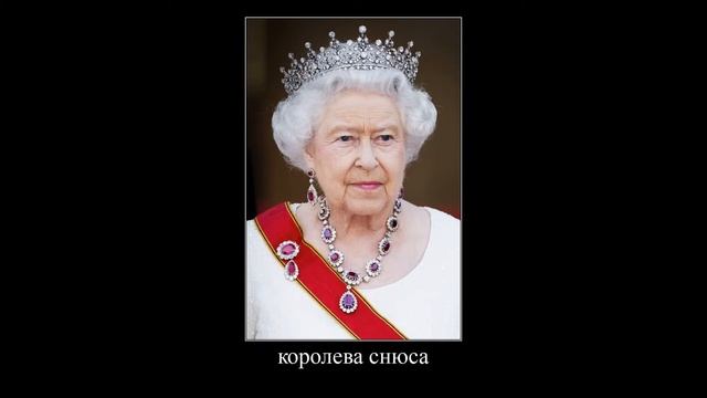 бабки и снюс под влад а4 кидс демотиваторы смотреть онлайн