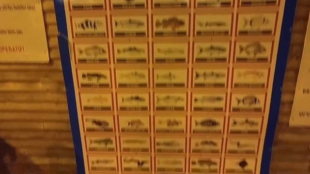 Виды рыб обитающих в Средиземном море, которых можно приготовить в ресторане. смотреть онлайн