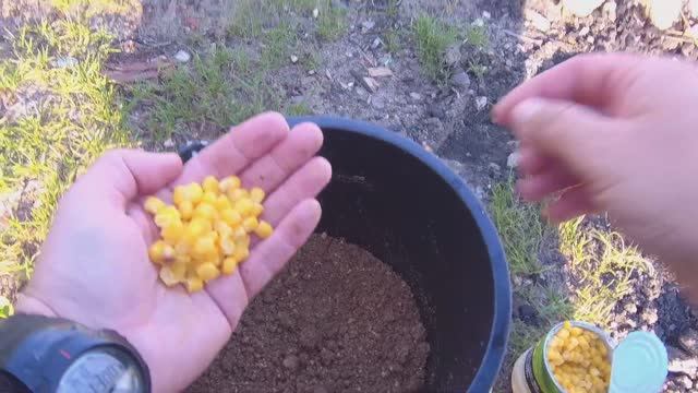 РЫБАЛКА НА РЕКЕ В МАЕ. КИНУЛ КУКУРУЗУ В ПРИКОРМКУ. ЗАБРОСИЛ КОРМУШКУ ЗА СВАЛ .. смотреть онлайн