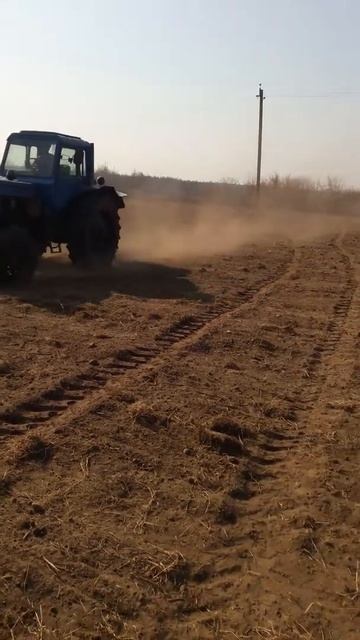 Внесение семян травы при помощи лейки. смотреть онлайн