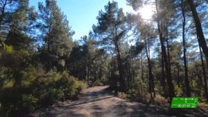 RUN IT! Бег по лесу в горах Турции | Виртуальный забег для беговой дорожки