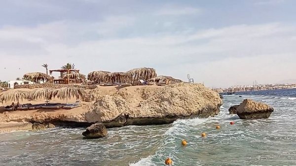 Отдых в Египте, Шарм эль Шейх отель Amphoras beach resort