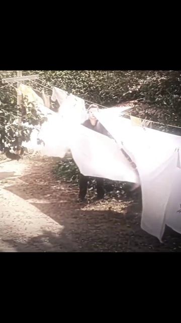 Милый Майкл Майерс из к/ф "Хэллоуин" #юмор #приколы #vhs #рэтро #80е #слэшер #майклмайерс #хэллоуин смотреть онлайн