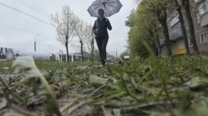 По питомникам в середине мая 2025 года