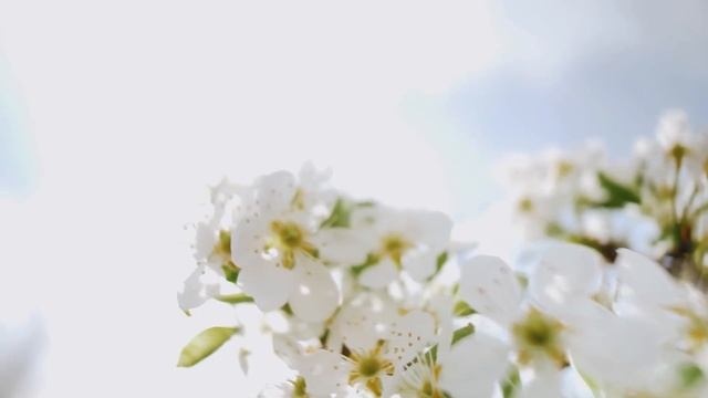 Мужик в Женской Бане с Здоровенным "Хозяйством"! Подбо? смотреть онлайн